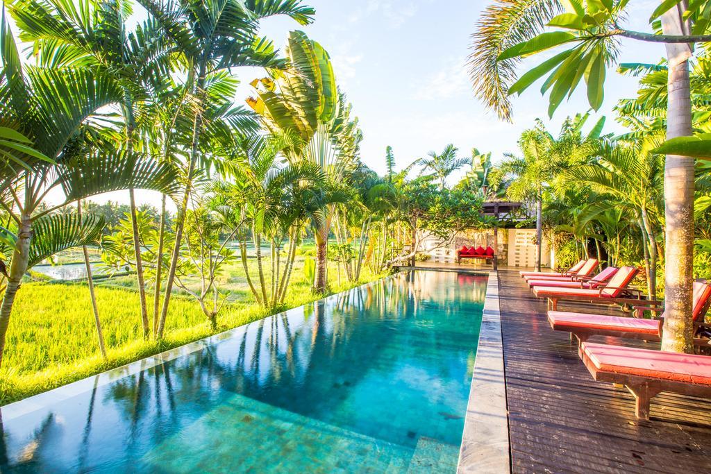 Bali Harmony Villa Ubud Exteriör bild