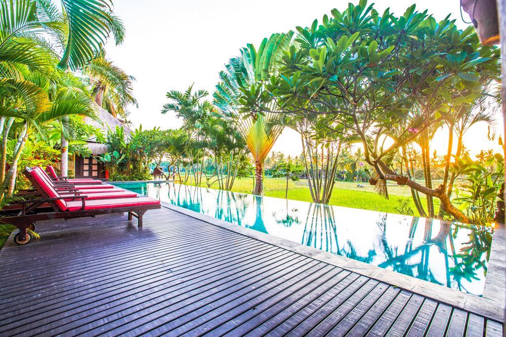 Bali Harmony Villa Ubud Exteriör bild