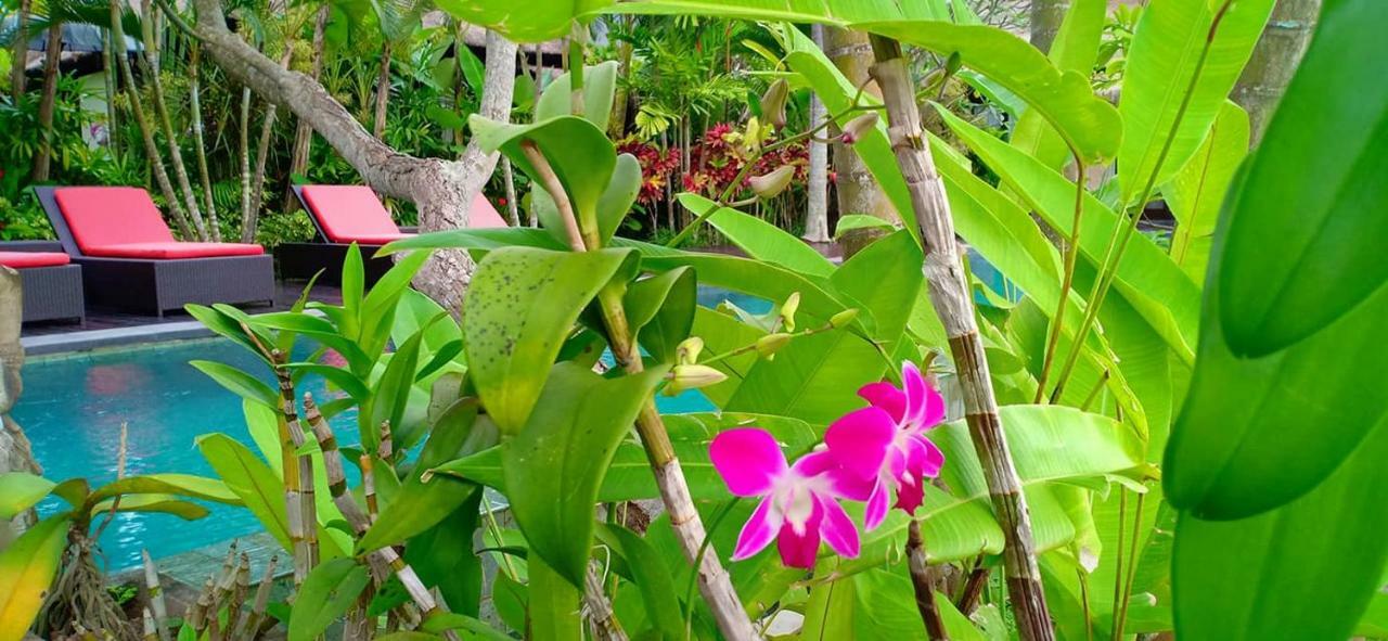 Bali Harmony Villa Ubud Exteriör bild