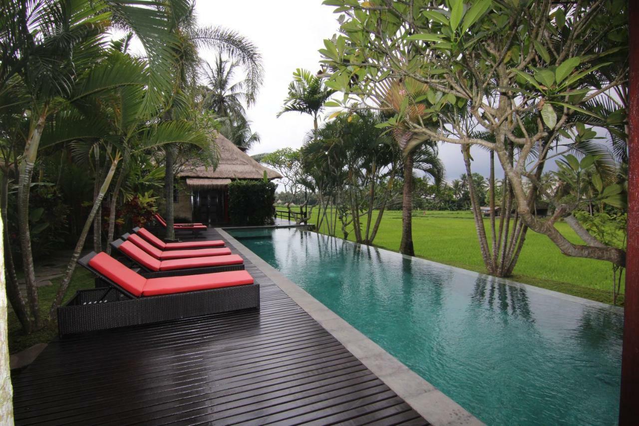 Bali Harmony Villa Ubud Exteriör bild